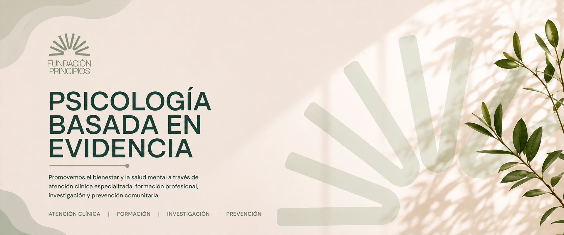 Fundación Principios. Bienvenido
